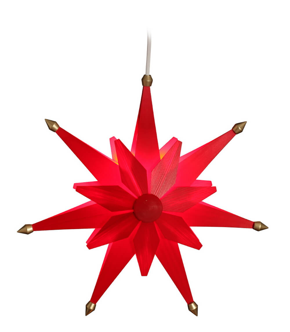 Poinsettia double, red, illuminated by Eckert